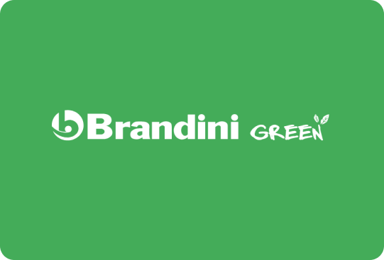 Brandini Green case study